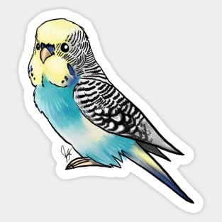 Bird - Budgerigar Parakeet - Blue and Yellow Sticker